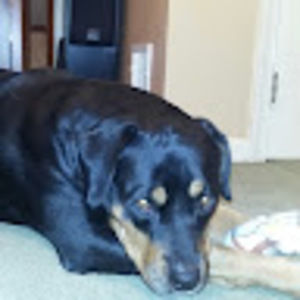 Meet your Posher, Jill